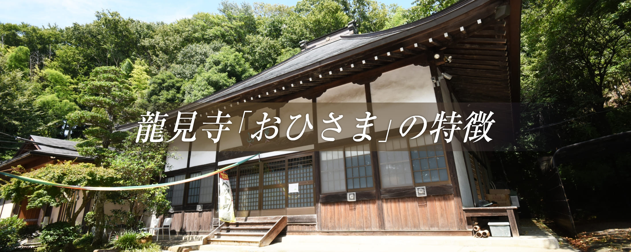龍見寺「おひさま」の特徴